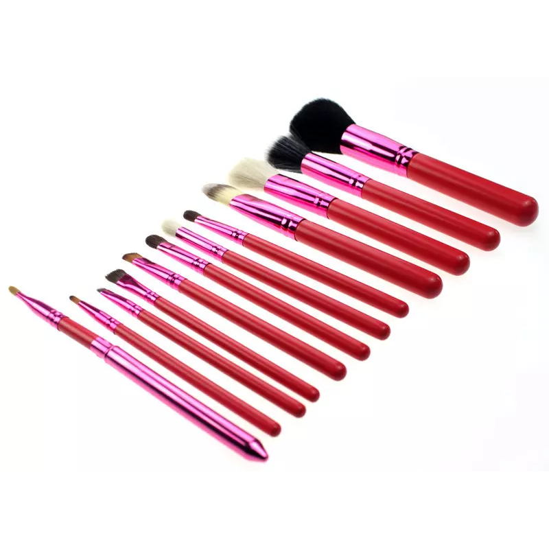 Makeup Brush Set Factory - OEM 12pcs Black Brush Set with Holder Vegan