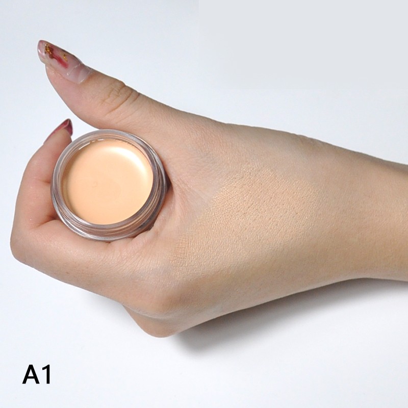 Cream Concealer Supplier - OEM Private Label Vegan Waterproof 21 Colors