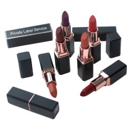 Solid Lipstick Manufacturer - OEM Hot Selling 21 Colors Waterproof Matte
