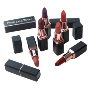 Solid Lipstick Manufacturer - OEM Hot Selling 21 Colors Waterproof Matte