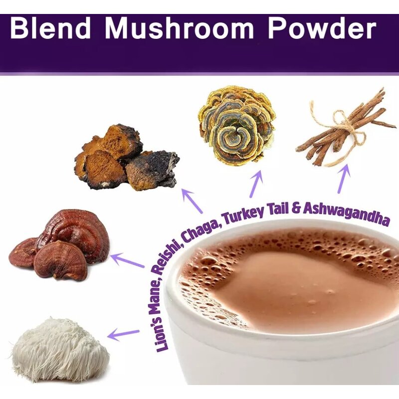 Powder Manufacturer - 5 in 1 Organic Reishi Chaga Cordyceps Lion's Mane Turkey Tail