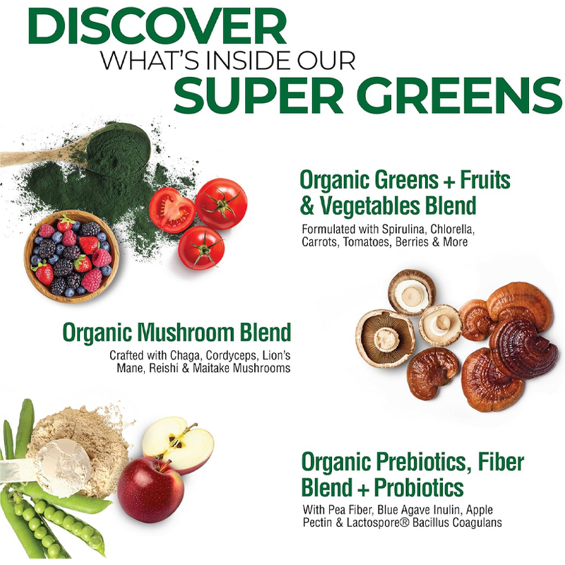 Powder Manufacturer - ODM&OEM Organic Herbal Immune Gut Health Super Greens Vitamin C