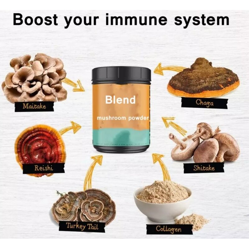 Powder Manufacturer - 5 in 1 Organic Reishi Chaga Cordyceps Lion's Mane Turkey Tail