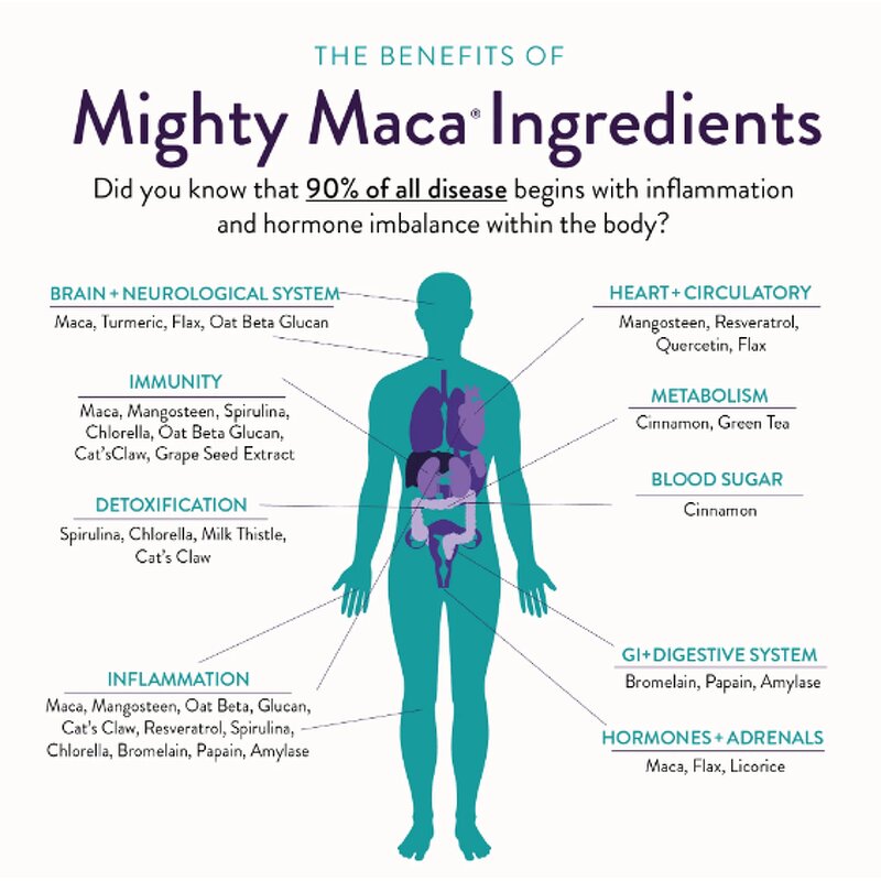 Maca Capsule Manufacturer - High-Pure Maca Root Strong Men Extra Power Food Grade
