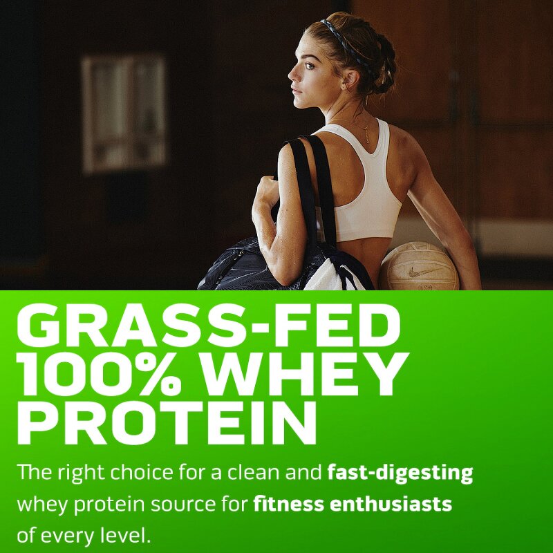 Weight Gain Supplement Manufacturer - OEM Private Factory Weight Gainer High Protein