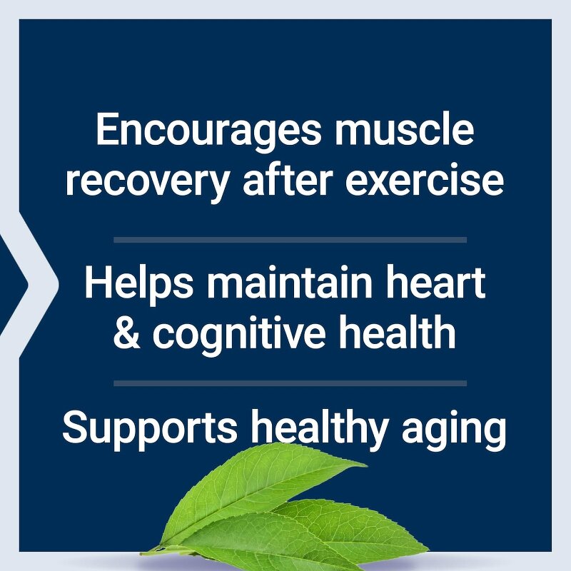 Protein Supplement Manufacturer - OEM High-Protein Whey Adult Fitness Herbal