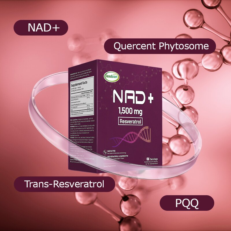 Protein Supplement Manufacturer - OEM Whey Protein Muscle Recovery Adult