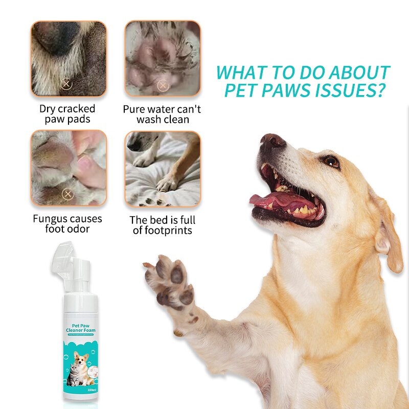 Eye Cream Manufacturer - Wholesale Anti-Wrinkle Retinol Firming Hyaluronic Acid Vitamin C Infused Moisturizing