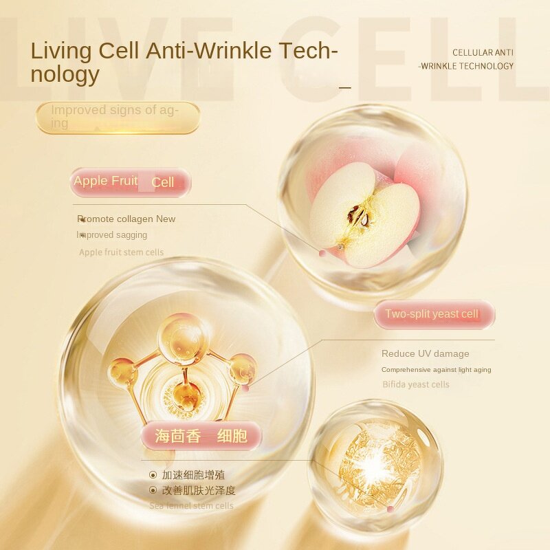 Face Cream Manufacturer - AIFEILIER Genuine White Blood Cell with Bone Collagen Anti-Wrinkle