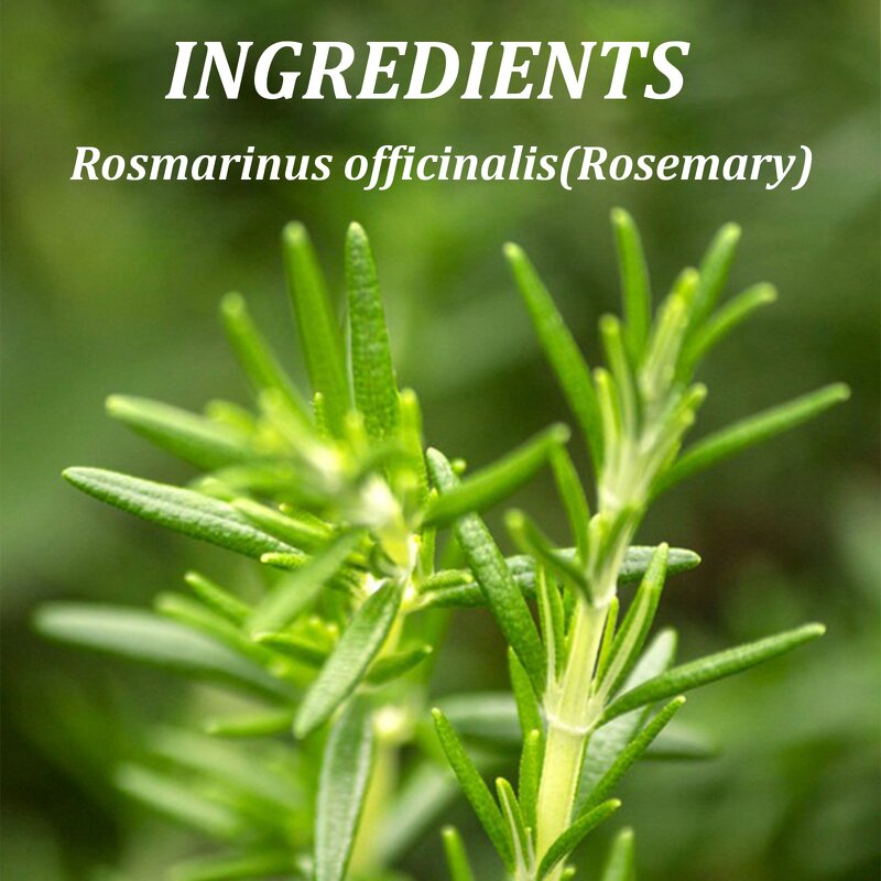 Scalp Massage Hair Oil Manufacturer - Rosemary Infused Strengthens Growth Enhances Shine Nourishes