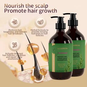 Ginger Set Manufacturer - Moisturizing Hair Shampoo Conditioner Oil Controlling Repair Customization