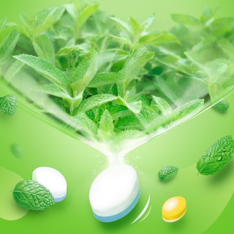 Mint Candy - WRIGLEYSS Sugar Free Various Flavors Easy Carry Fresh Breath Tablet