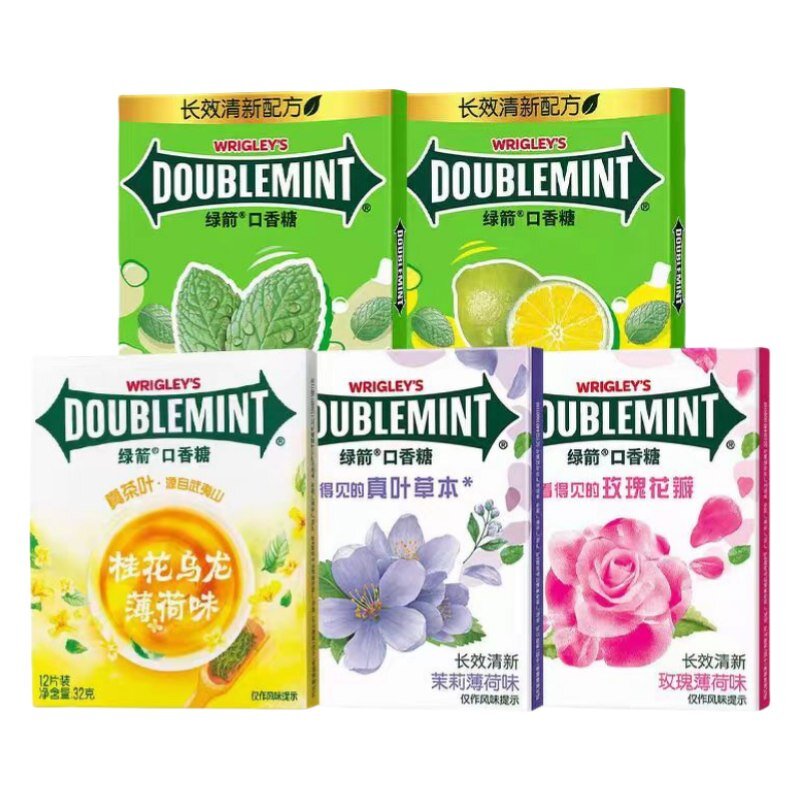 Mint Chewing Gum - 12pcs Multi Fruit Flavor Easy Carry Fresh Breath Leisure Candy