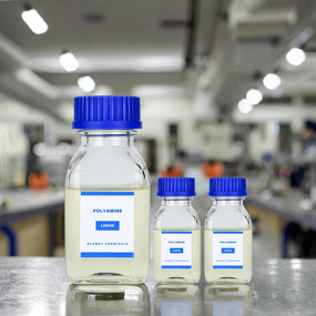 Polyamine Manufacturer - for Desalination Plant Brine Wastewater