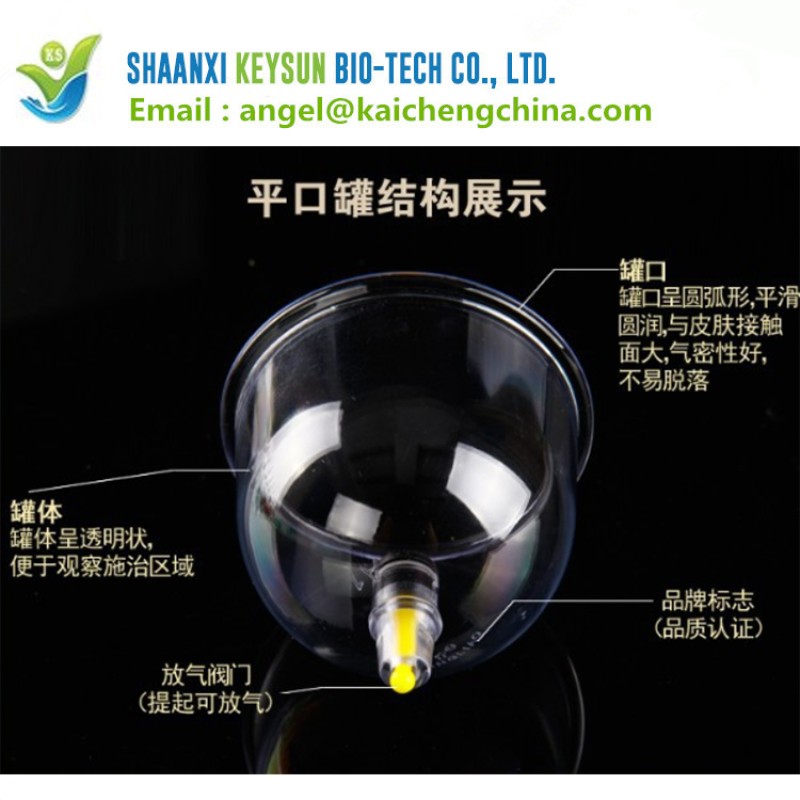 Cupping Cups Manufacturer - Hijama Vacuum Suction Set