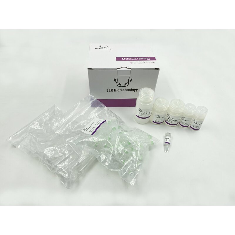 FFPE DNA Extraction Kit - Formalin-Fixed Paraffin-Embedded Research Isolation