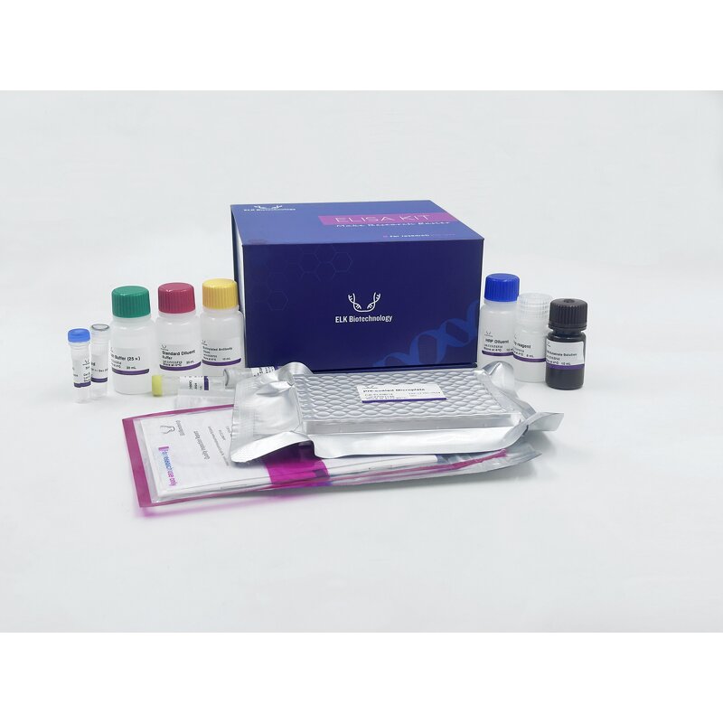 AngII ELISA Kit - Rat Angiotensin II Biological Reagent Research Use Only