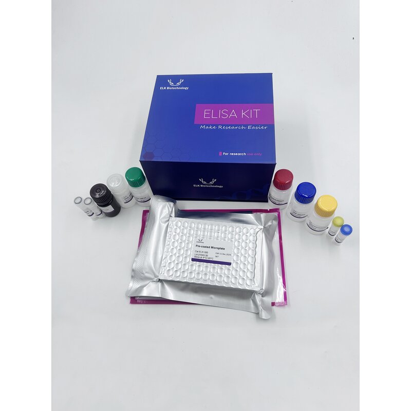 AngII ELISA Kit - Rat Angiotensin II Biological Reagent Research Use Only