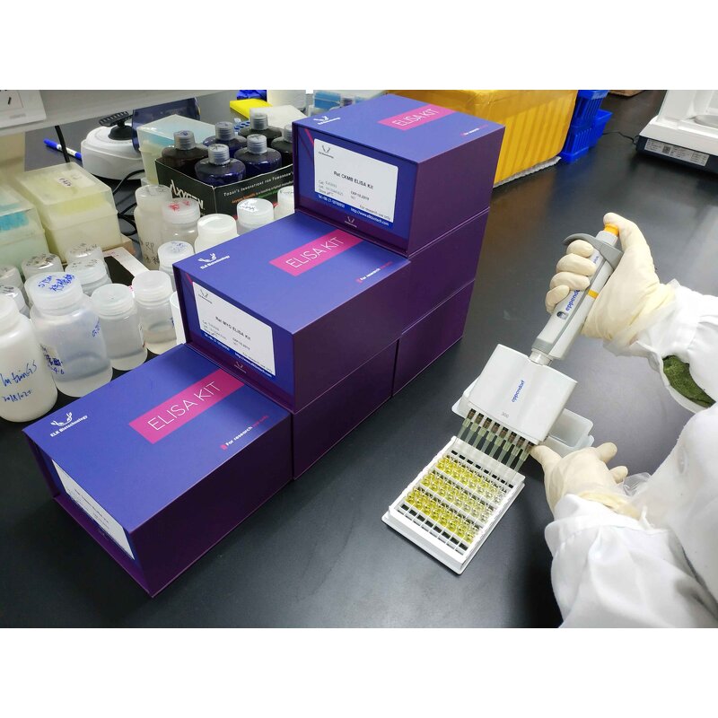 OC ELISA Kit - EasyStep Human Osteocalcin Research Use Only