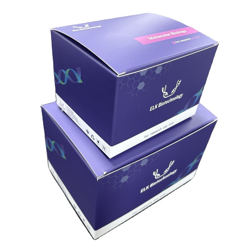 DNAsecure Plant Kit - Protease-Free Plant DNA Research Extraction