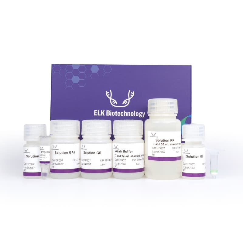 FE ELISA Kit - EasyStep Human Ferritin Time-Saving Research Assay Kit