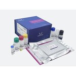 ELISA Kit
