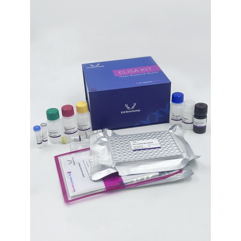 FE ELISA Kit - EasyStep Mouse Ferritin Research Use Assay Kit