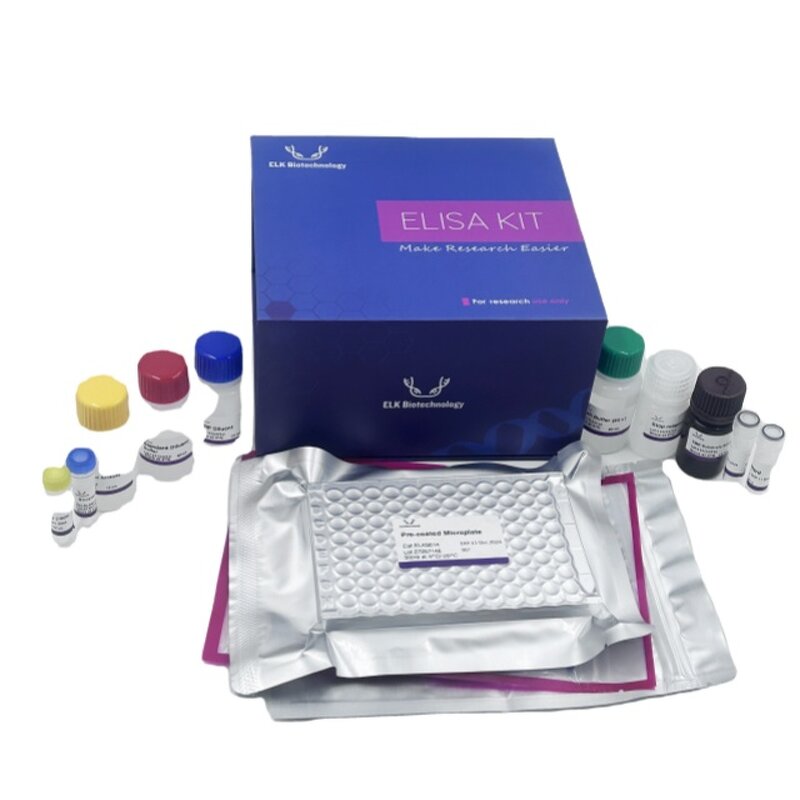Cys-C ELISA Kit - EasyStep Human CystatinC Fast Assay 1.5h Completion