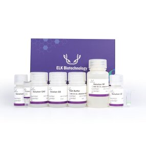 CRP ELISA Kit - EasyStep Human C Reactive Protein Time-Saving Research Use