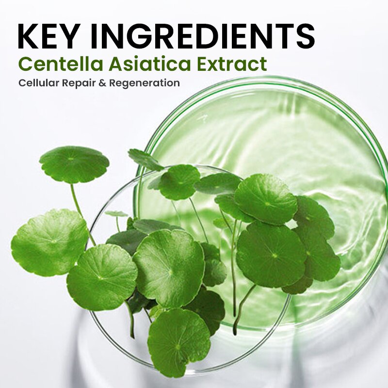 Centella Face Serum - Factory - Aloe Vera Ceramide Paraben-free Moisturizing Repair Soothing Firming Hydrating