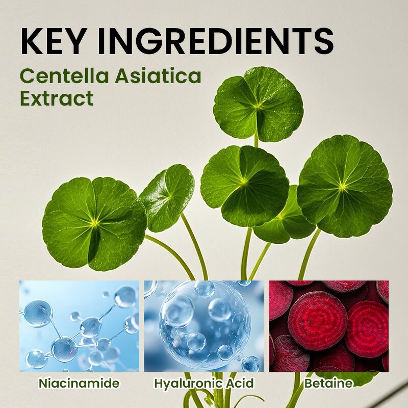 Centella Face Toner - Manufacturer - Nicotinamide Betaine Brightening Soothing Calming Moisturizing Daily Skincare