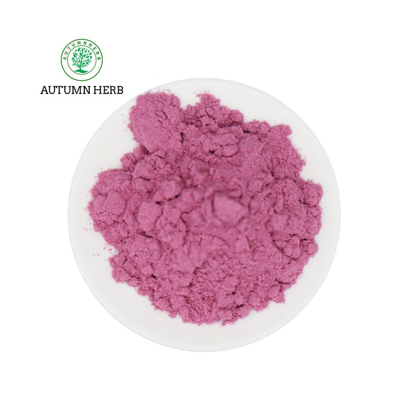 Fruit Extract Manufacturer - Raspberry Powder Autumn Herb Food Grade Drum Packaging