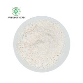Enzyme Manufacturer - Elastase Enzyme Powder Autumn Herb Enzyme