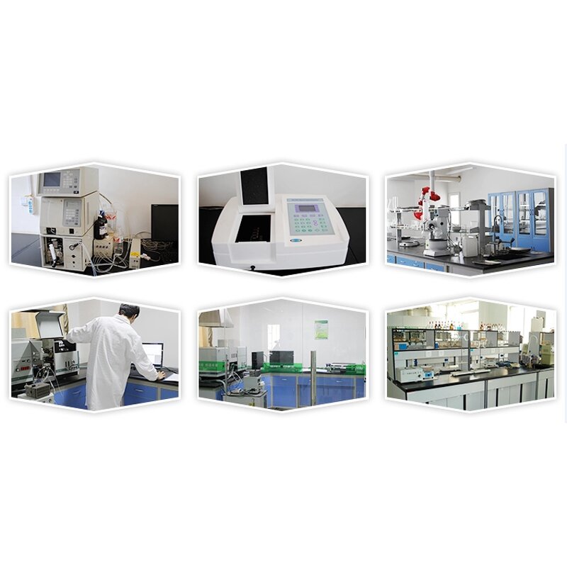 Plant Extract Manufacturer - Pure Natural Rice Extract Plant Extracts