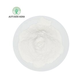 Enzyme Manufacturer - Papain Enzyme Powder Autumn Herb Best Price
