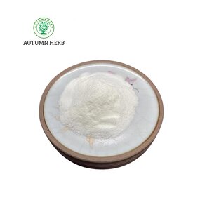 Feed Additive Manufacturer - L-Lysine Hcl Autumn Herb Feed Grade Amino Acid