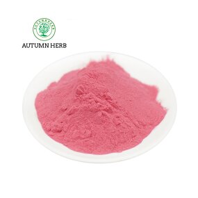Fruit Extract Manufacturer - Raspberry Fruit Powder Autumn Herb Natural Freeze Dried