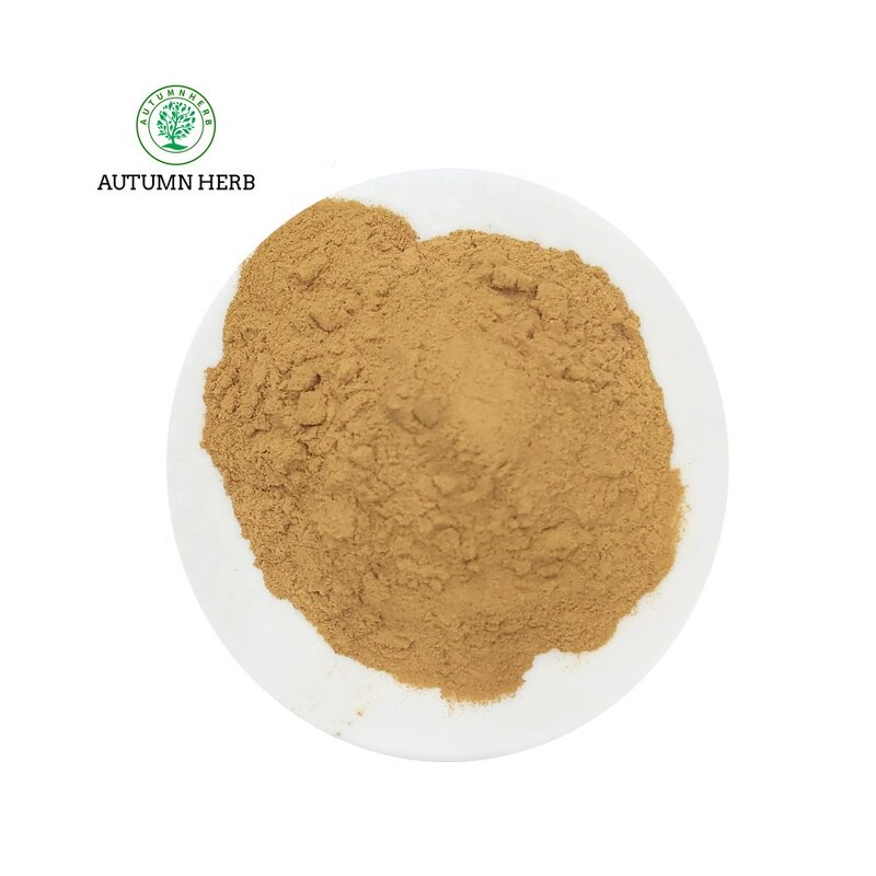 Mushroom Extract Manufacturer - Ganoderma Lucidum Mushroom Extract Powder
