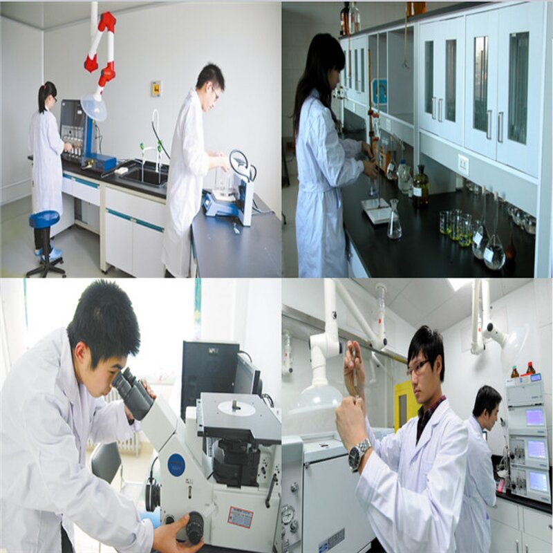 Plant Extract Manufacturer - Ecklonia Cava Extract Best Price