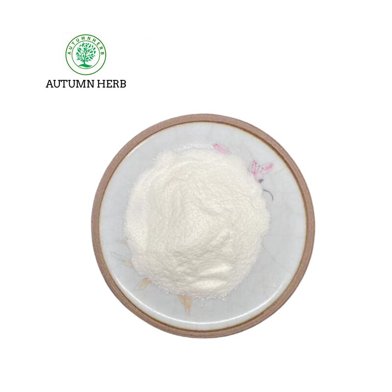 Fruit Extract Manufacturer - Soursop Fruit Extract Powder Autumn Herb Food Grade Drum