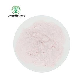 Fruit Extract Manufacturer - Peaches Fruit Powder Autumn Herb Fruit Powder