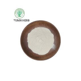 Chemical Manufacturer - Glyceryl Stearate Citrate Best Price