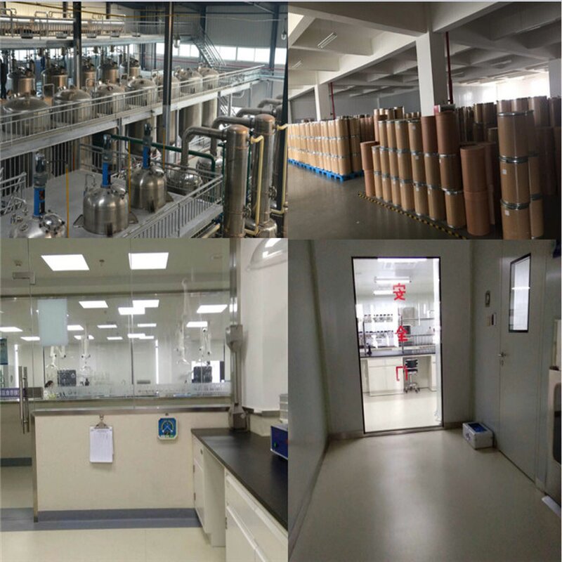 Plant Extract Manufacturer - Ecklonia Cava Extract Best Price