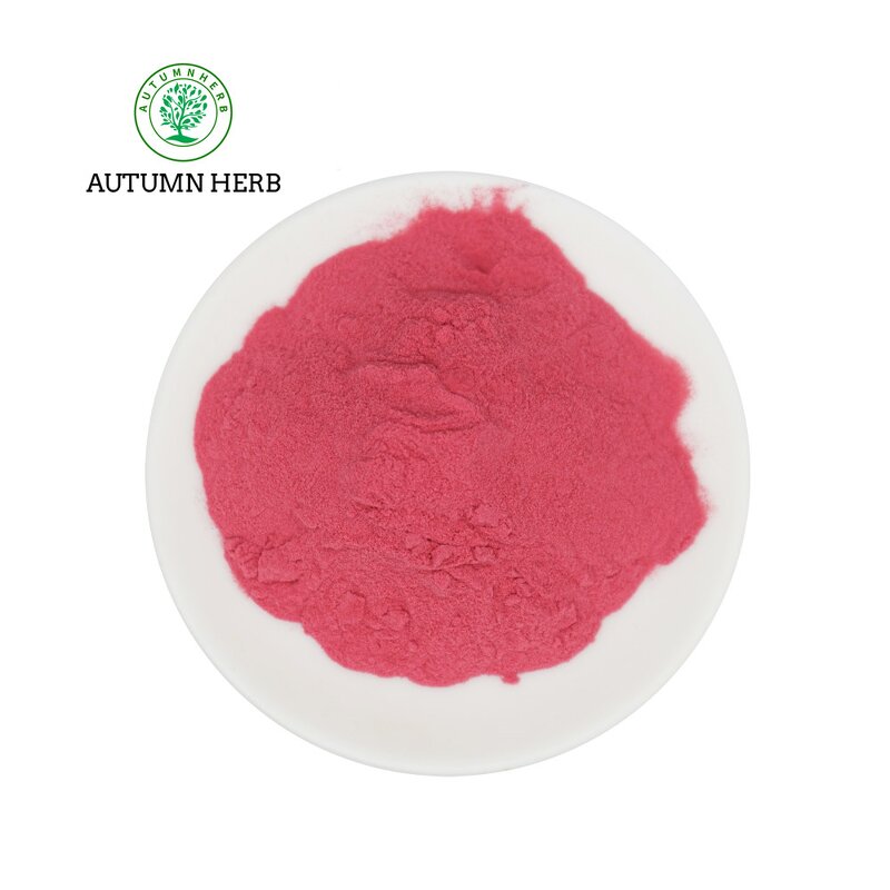 Fruit Extract Manufacturer - Acai Berry Powder Autumn Herb Natural Fruit Juice Powder