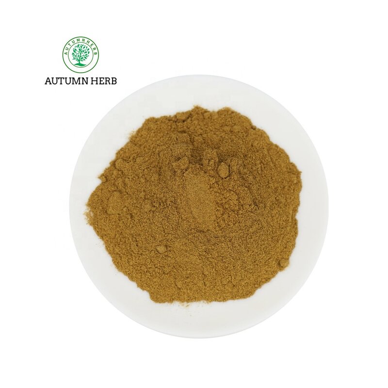 Mushroom Extract Manufacturer - Turkey Tail Mushroom Powder Extract
