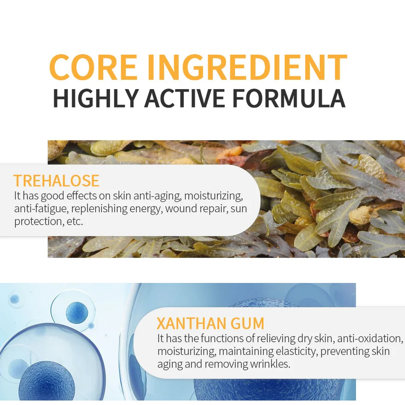 Sunscreen Cream Manufacturer - SPF50 Camellia Oil-Control Whitening Anti-Aging Facial Body