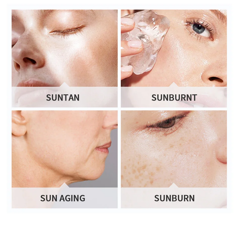 Sunscreen Cream Manufacturer - SPF50 Camellia Oil-Control Whitening Anti-Aging Facial Body