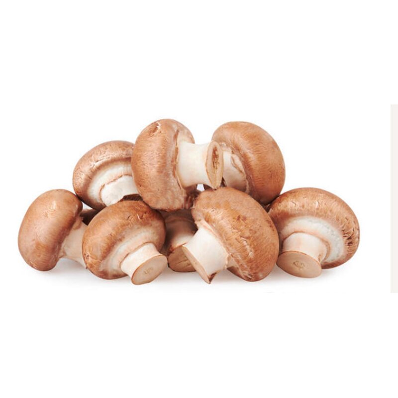 Shiitake Mushroom Extract Powder Manufacturer - Factory Supply 10-50% Polysaccharide