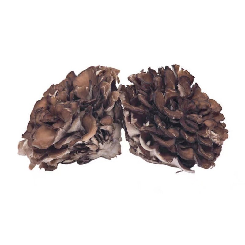 Maitake Mushroom Extract Powder Manufacturer - Wholesale 30% Polysaccharide