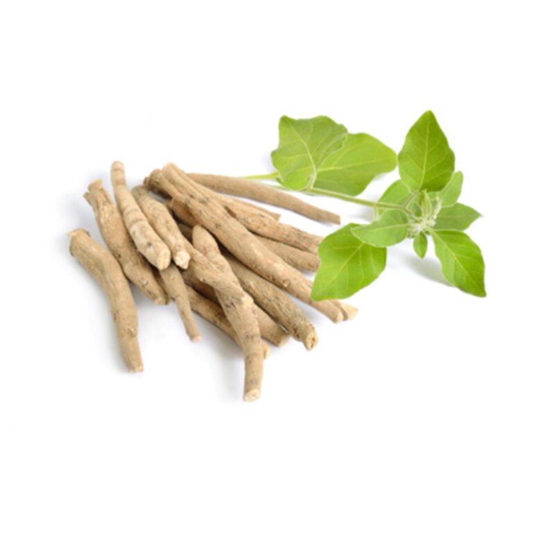 Ashwagandha Root Extract Powder Manufacturer - 1% -10% Withanolides Withania Somnifera